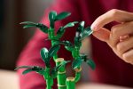 لگو بوتانیکال 10344 بامبو خوش شانس Lucky Bamboo - Image 8