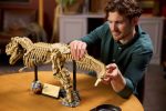 لگو دنیای ژوراسیک 76968 فسیل دایناسور: تیرانوسوروس رکس Dinosaur Fossils: Tyrannosaurus rex - Image 11