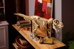 لگو دنیای ژوراسیک 76968 فسیل دایناسور: تیرانوسوروس رکس Dinosaur Fossils: Tyrannosaurus rex - Image 13
